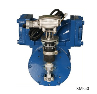 SM-50 Series Positive Displacement Vane Meter